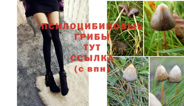 mix Переславль-Залесский