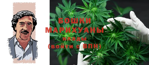твердый Белокуриха